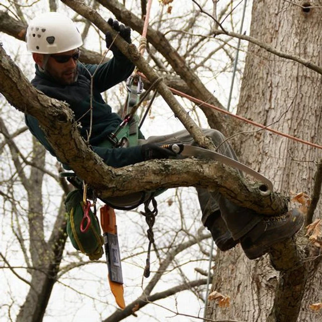 SILKY SUGOI 360 ARBORIST HAND SAW - Image 4